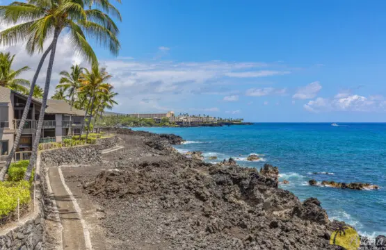 03191fd3 1ced 47f4 9dad 657473647c6f.png.jpg