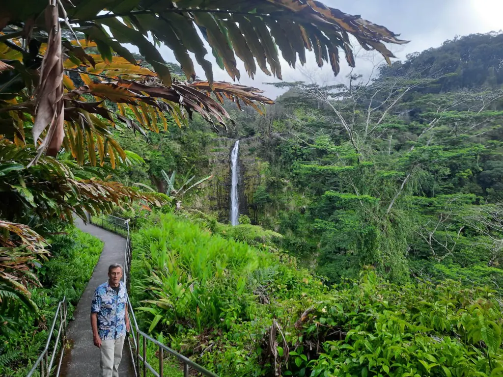 08a1d8fb 80bc 4bc5 8a7e b207aa537464.jpg