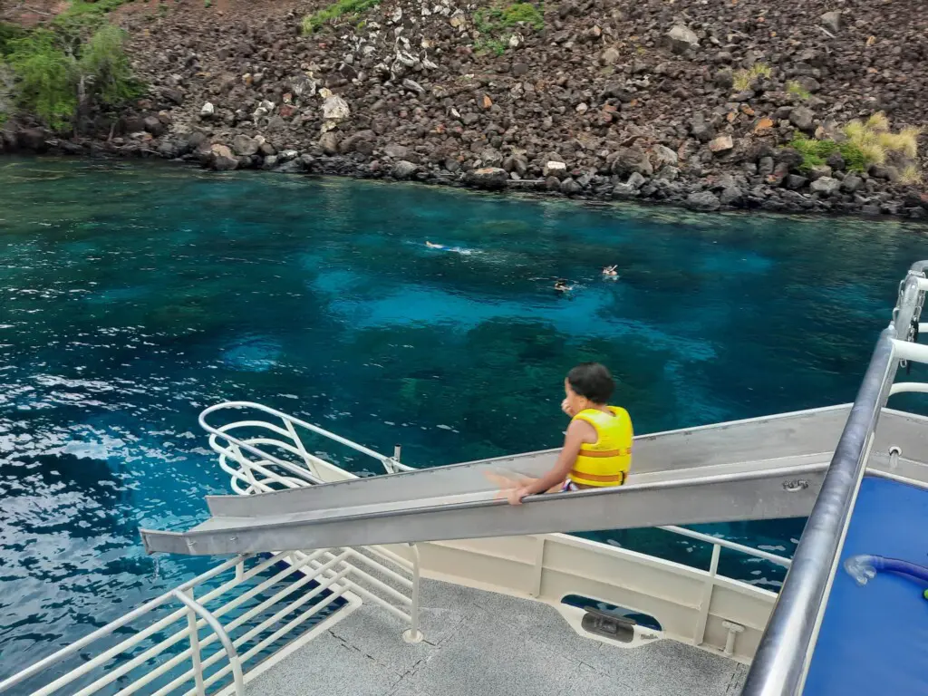 109deb6d c9e5 4240 83ca d433073c80c1.jpg