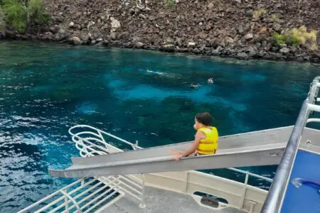 109deb6d c9e5 4240 83ca d433073c80c1.jpg