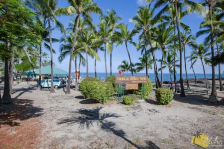 2cb3c33b 477e 44a1 9875 f47af659d8dd.jpg