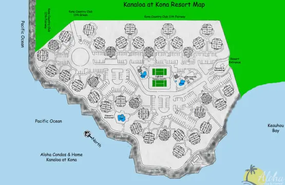 6702c6d8 e6f3 4165 9d94 485845944461.jpg