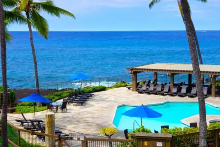 86543b5b 6845 4d86 abf5 24596c4d9b78.jpg