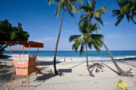 eee4f335 9bf6 4434 9443 57764f6e844c.jpg